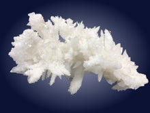 Aragonite-Calcite      CA1216.1