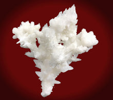 Aragonite calcite  CA1216.2