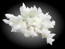 Aragonite-calcite  AC1217.1