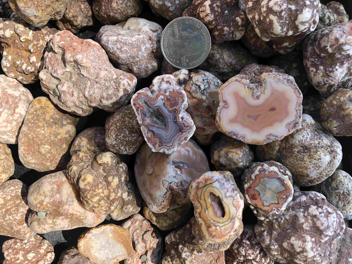 Guerrero Agates – Rockswest