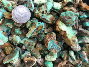 Blue-Green Pixie Turquoise
